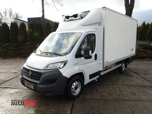 FIAT DUCATO  Kühlkoffer LKW