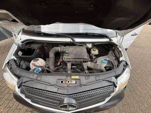 بيع الميكروباصات شاحنة التبريد Mercedes-Benz Sprinter 314 Dual Zone Frigo -30/+30 Carrier AUT - صورة 19 | Autoline AE الميكروباصات شاحنة التبريد Mercedes-Benz Sprinter 314 Dual Zone Frigo -30/+30 Carrier AUT | صورة 19 - Autoline