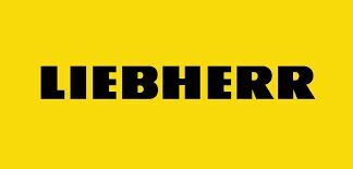 Liebherr 10099981 10099981 filtro de aire para Liebherr