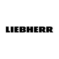 Liebherr 10099981 10099981 hava filtresi