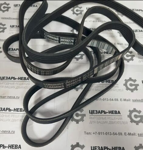 Cummins 3039376 alternator belt