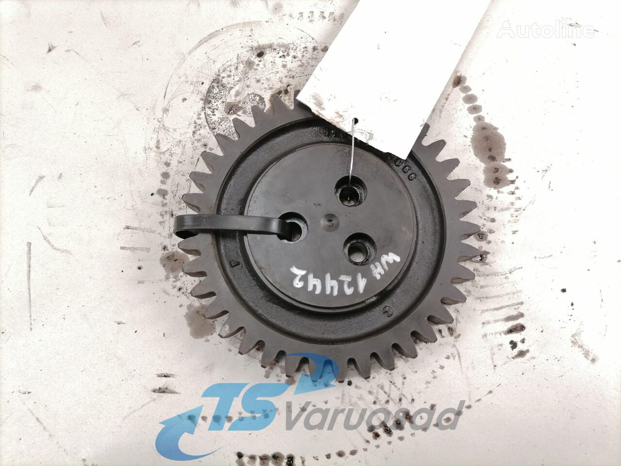 paskirstymo veleno krumpliaratis MAN Timing gear 51045053066 vilkiko MAN