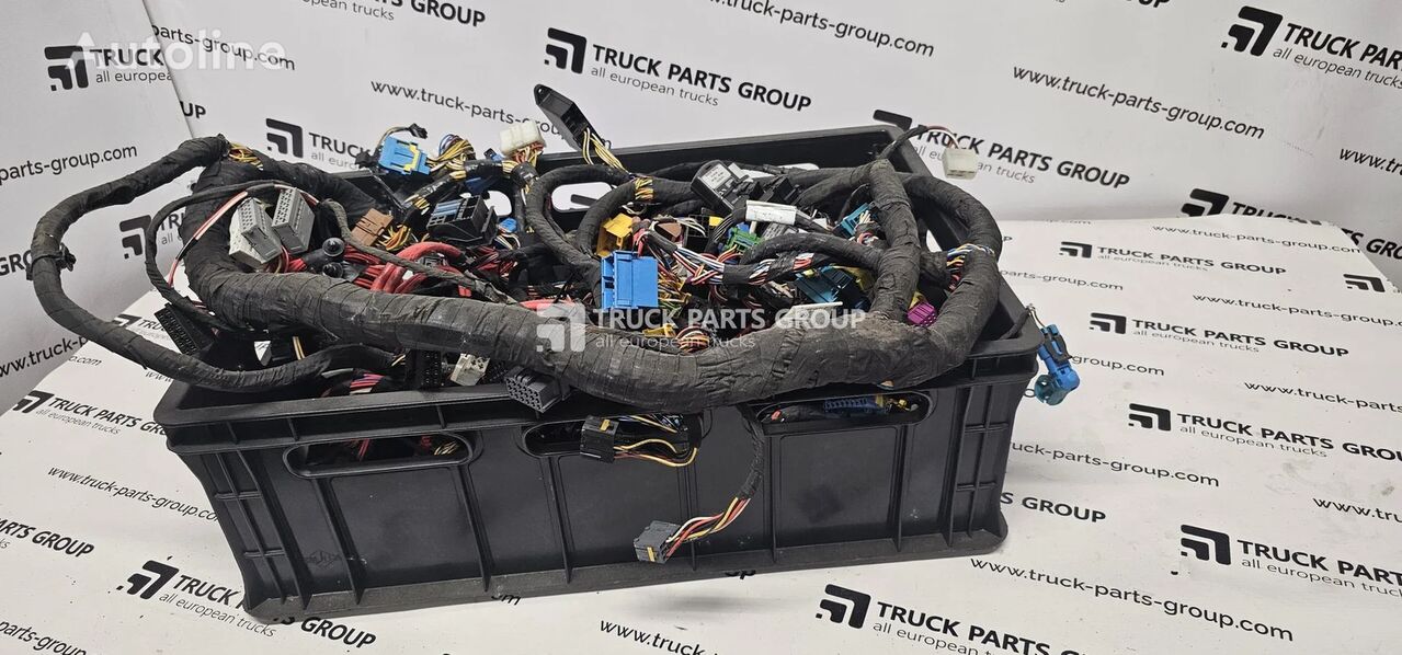 DAF XF, 106XF 106, EURO6 emission cab cables set, wiring harness ele control unit for DAF DAF XF, 106XF 106, EURO6 emission cab cables set, wiring harness electric installation units, connectors units 1900909, 1977849, 1928552, 2106301, 1829321, 2106901, 2216416, 1854549, 2030646, 1829325, 2294032, 1933258, 1954042, 2005404, 1855675, 1913427 truck tractor