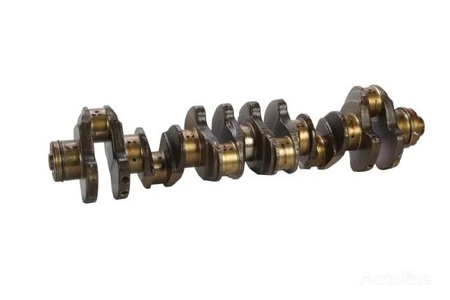 Arbore Cotit crankshaft for IVECO F4AE3481 truck