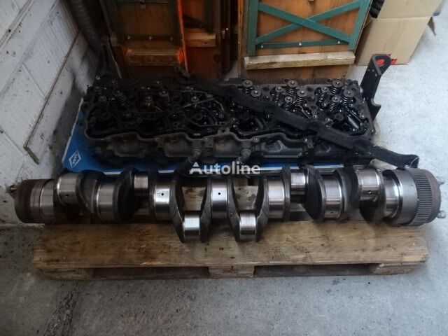 Arbore cotit pentru motor crankshaft for DAF truck