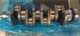 Cummins 423000 crankshaft for crane