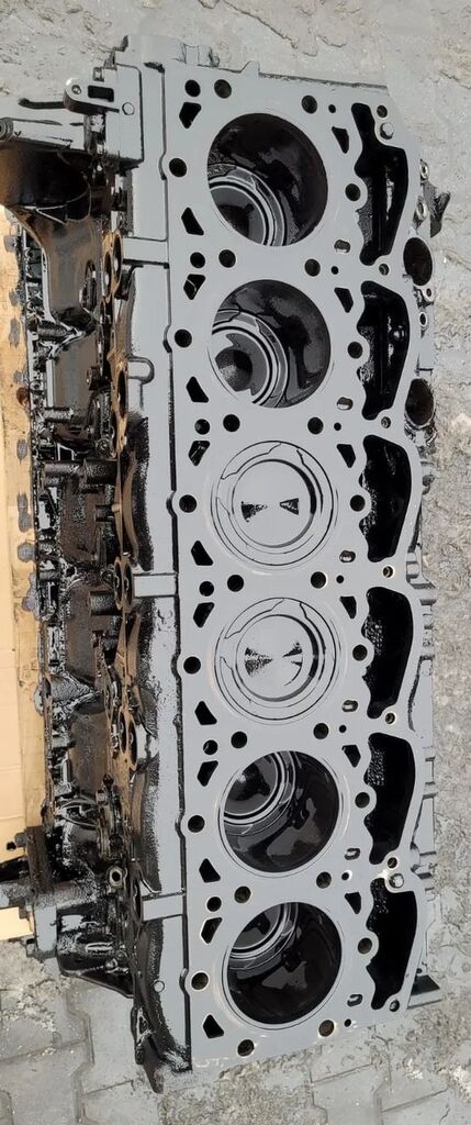 DAF BLOK SILNIKA Z UKŁ KORBOWO TŁOKOWYM DAF XF 106 510 KM cylinder block for truck