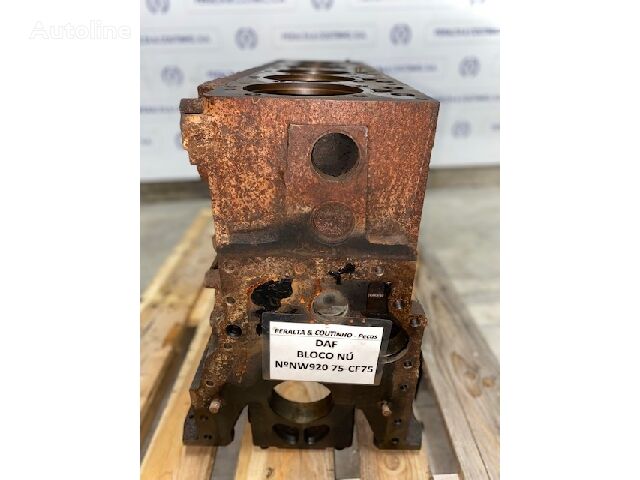 DAF CF75 / PF920 Bloco do Motor 1346979 cylinder block for truck - Autoline