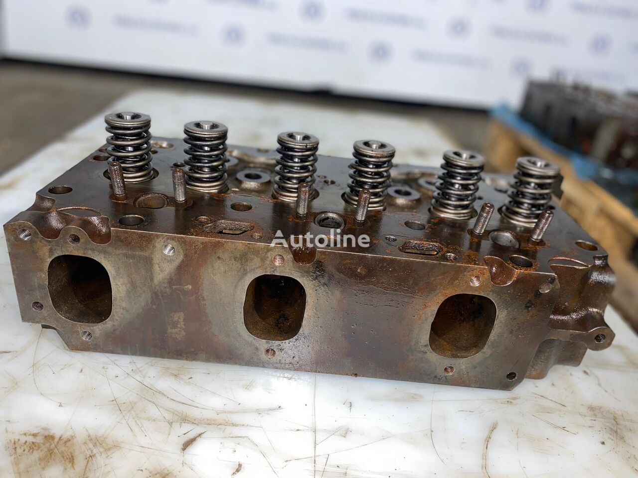 DAF : 95ATI / WS259 Cabeça do Motor com Válvulas Euro 1 1267742 cylinder head for DAF truck