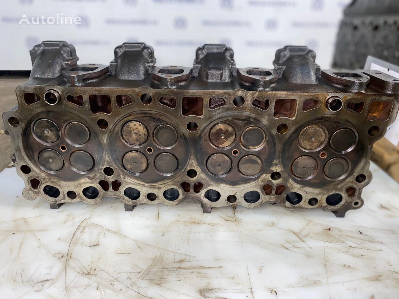 Deutz : 7900 / BF4M1013C Cabeça do Motor com Válvulas 4905517 cylinder head for Deutz truck