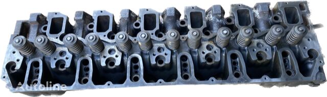 testata motore Deutz : BF6M1013 Cabeça do Motor com Válvulas 4258234 per camion Deutz