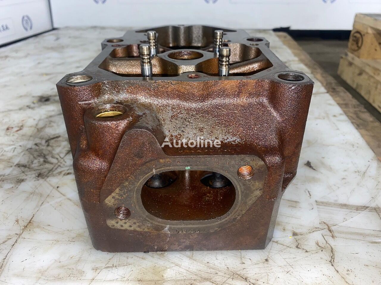 testata motore Deutz : BF6M1015C Cabeça do Motor com Válvulas 4613129 per camion Deutz