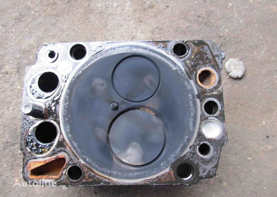 GŁOWICA 2 ZAWOROWA SILNIK 5 CYLINDRÓW cylinder head for MAN F90, F2000 truck