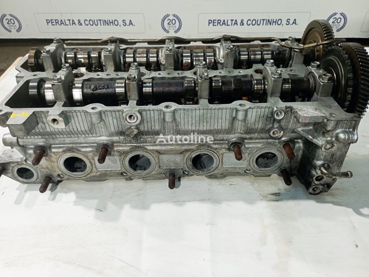 Mitsubishi | Pagero - 2015 up 1005C961 cylinder head for Mitsubishi L200 car