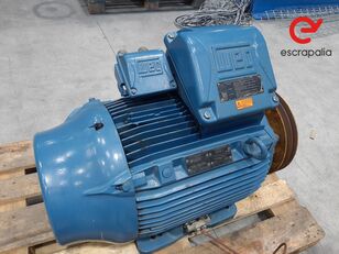 WEG W22 EEXec IE3 electric motor for industrial equipment