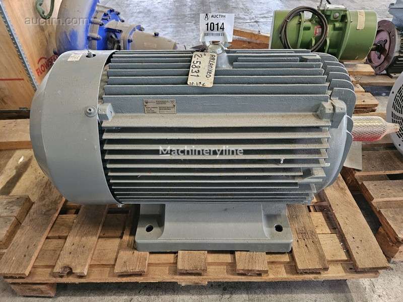 DE BRUYN NEN-PN-IEC-60079-19 motor