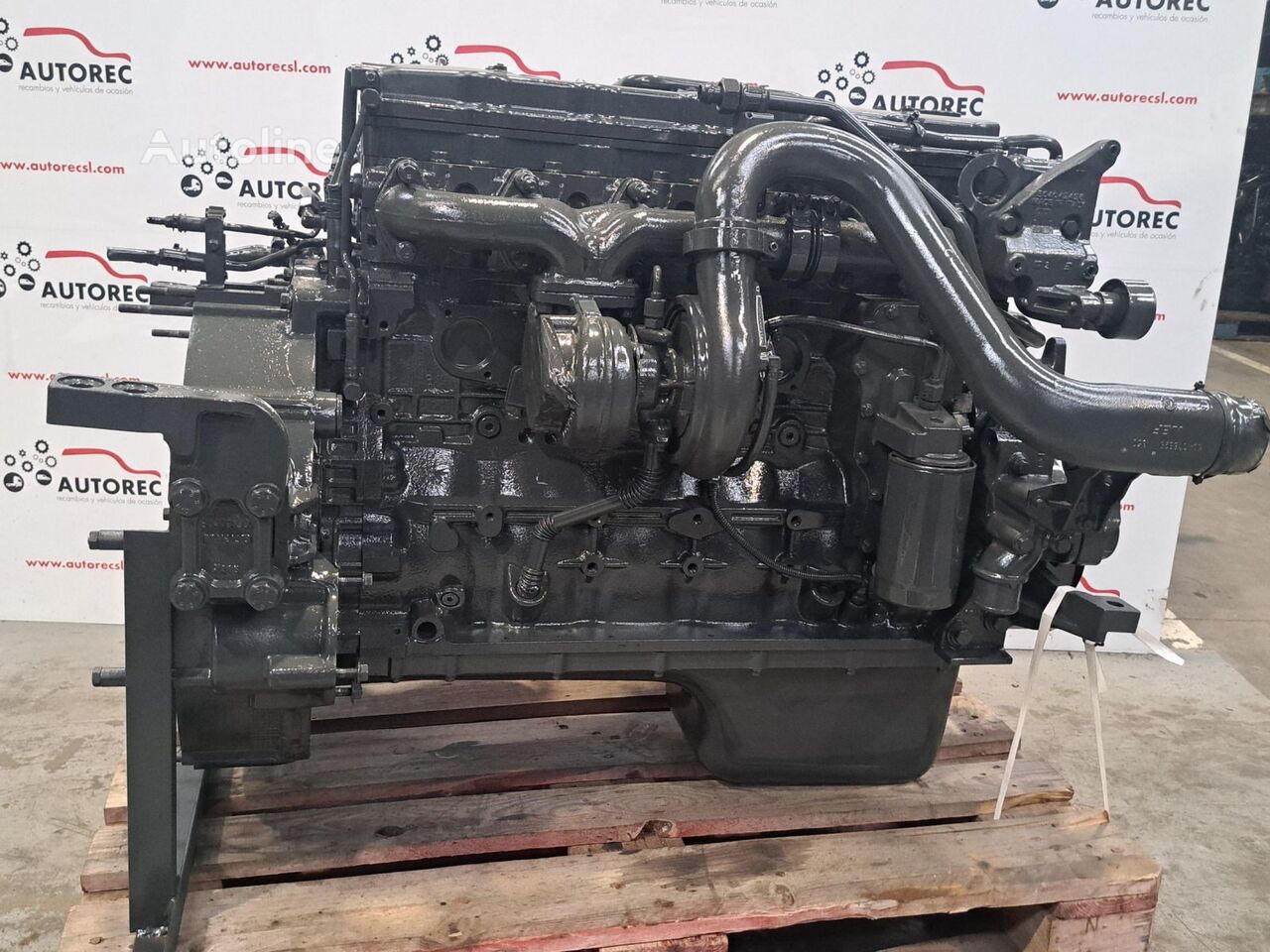 IVECO F4 AE 3681 D 01555784 motor za IVECO Eurocargo 150E25 kamiona - Autoline