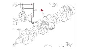 двигател Massey Ferguson 8480 Wał Korbowy CZĘŚCI 903100050021 за Massey Ferguson