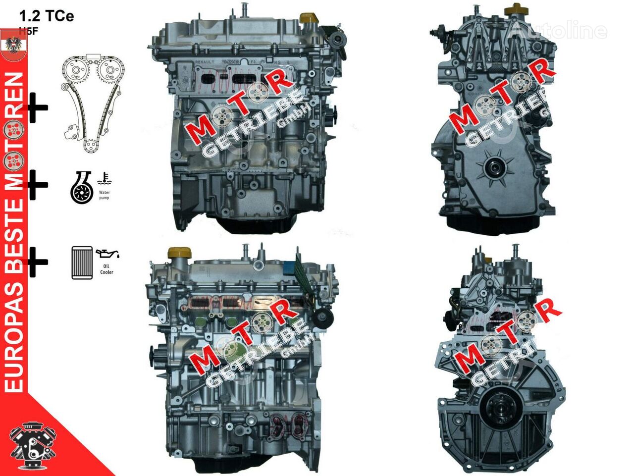 Renault Kadjar 1.2 TCe - H5F Motor für PKW