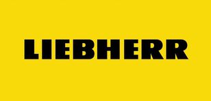 Liebherr D934 / D936 / D946 (9080410) 9080410 fuel hose for mobile crane