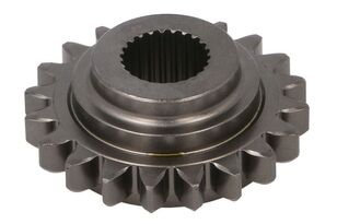 02A/0A4/02S – 20 DE DINTI 02A311531K gearbox gear for Volkswagen car