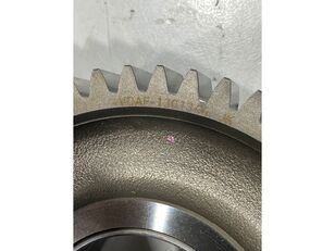 зъбно колело за скоростна кутия DAF PR265 Engrenagem Intermedi&aacute;ria da &Aacute;rvore de Cames PR265;WS268 1301344 за камион DAF