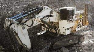 Liebherr R9600 ekskavatör için Liebherr BOOM / STICK / BUCKET CYLINDERS hidrolik silindir