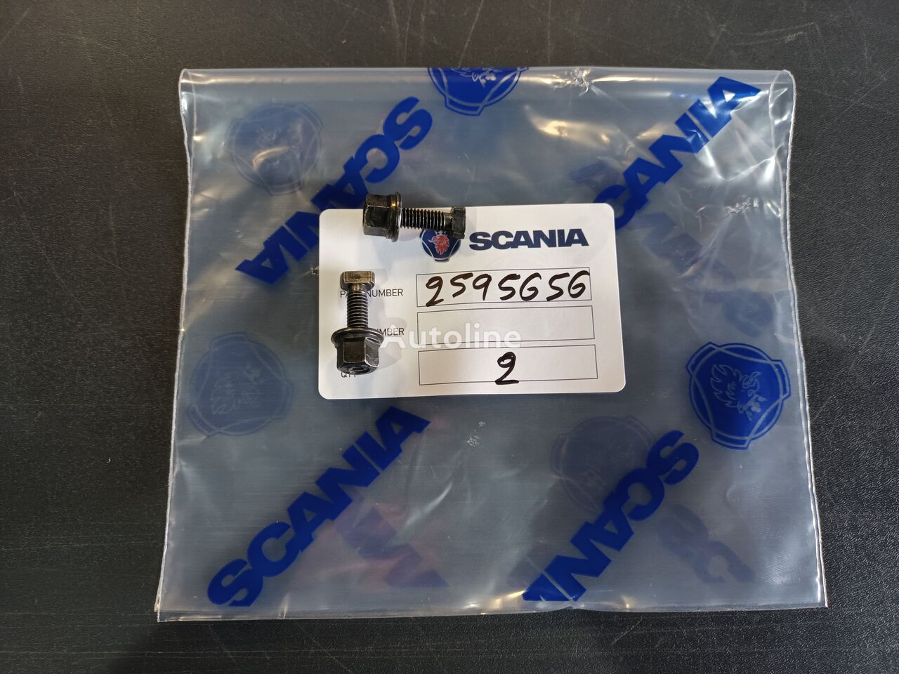 SCANIA SCREW 2595656 Scania 2595656 für Scania LKW