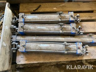 Luftkolvar till Mj&ouml;lkgrop annan pneumatisk del till Blue Diamond mj&ouml;lkningsutrustning