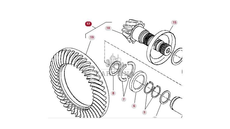 Koło Koronowe Atak Zębatka  Massey Ferguson 8470 8480 Зубчатое колесо, звездочка, запчасти 926102410040 9311004 для трактора колесного Massey Ferguson 8470 8480 - Agroline