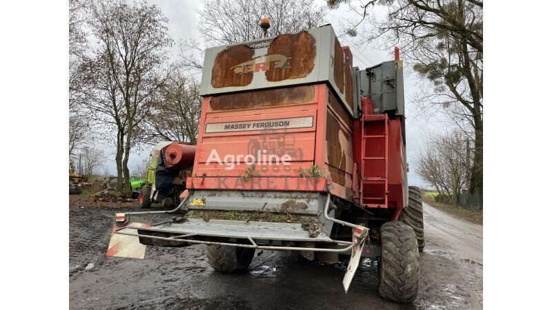 D28480895 remskive til Massey Ferguson Massey Fergusson Cerea 7272, 7274, 7256 7252 - Agroline