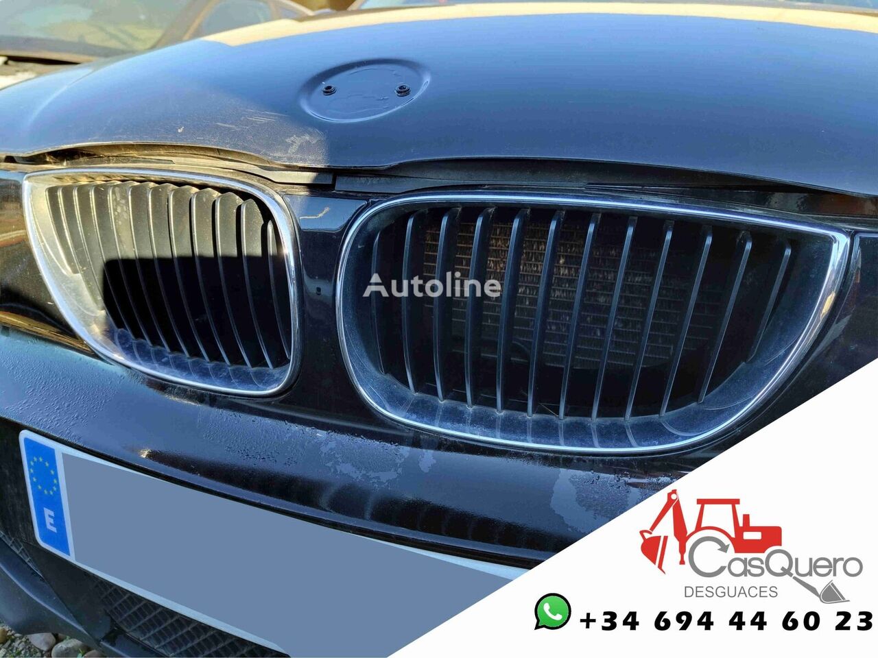 radiator grille for BMW 120i E87 car