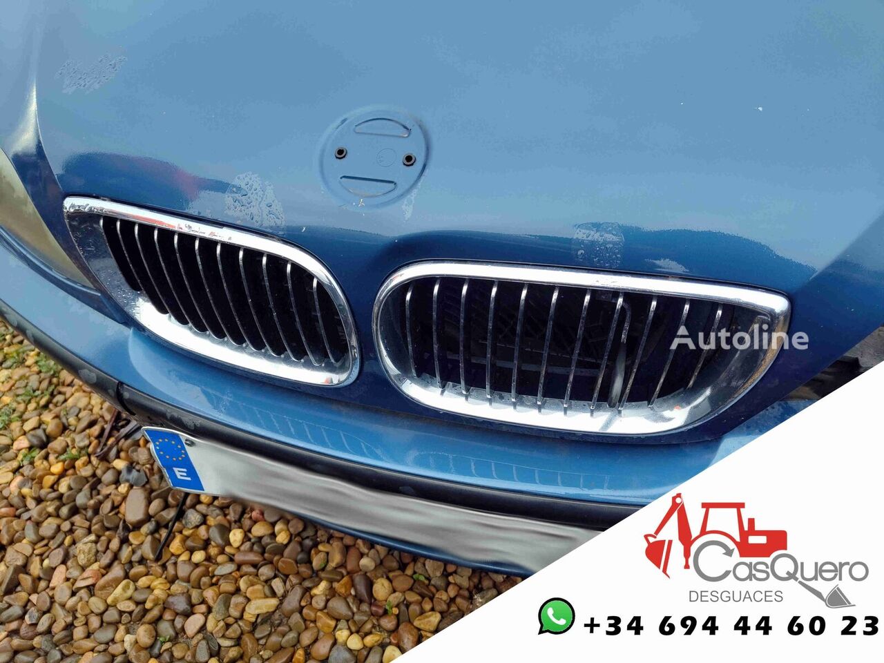 Radiator grille for BMW 330 car - Autoline