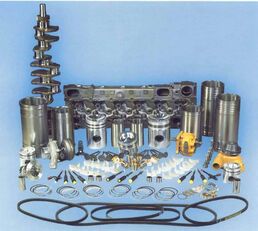 Set complet de piese motor pentru repair kit for Scania DI953 construction equipment