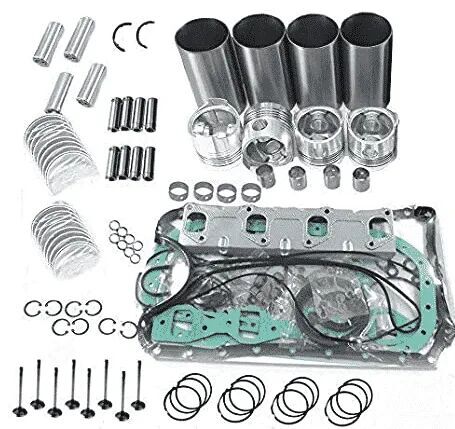 Set complet piese motor repair kit for Hatz 2G40: pistoane, cilindri, segmenți, garnituri și șuruburi construction equipment