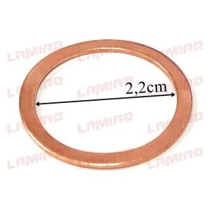 COPPER WASHER 22x27 AIR TANK CAP for truck