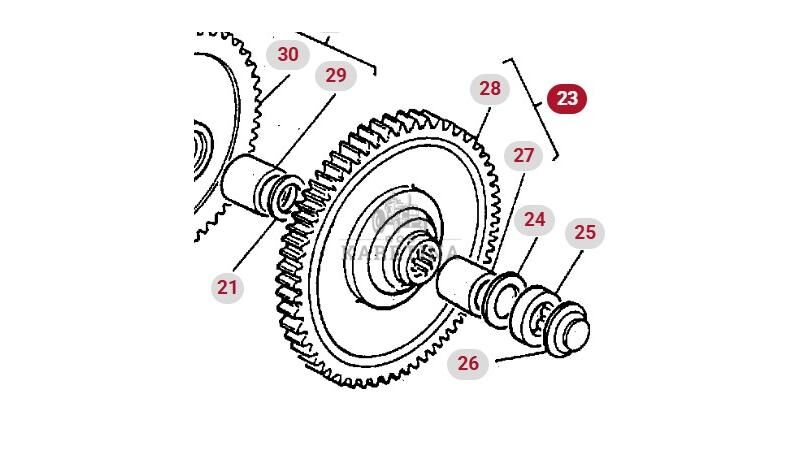 Massey Ferguson 3690 Pignon d'engrenage PIÈCES 3387509M91 1610247M1 pour tracteur à roues Massey Ferguson 3690 - Agroline