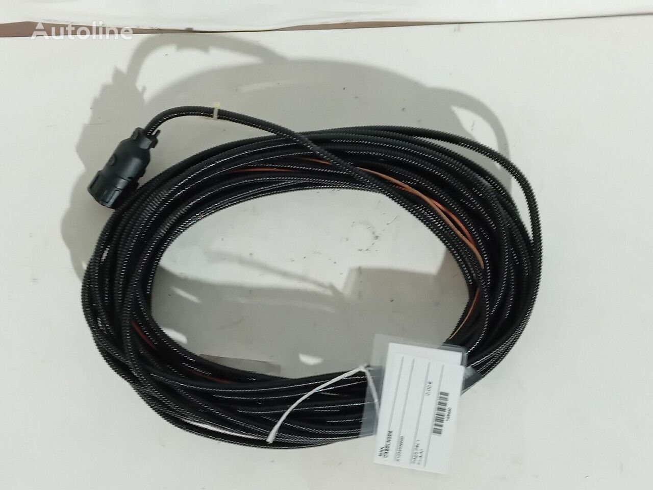 81254556585 wiring for MAN truck