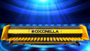 yeni Coccinella ayçiçeği tablası