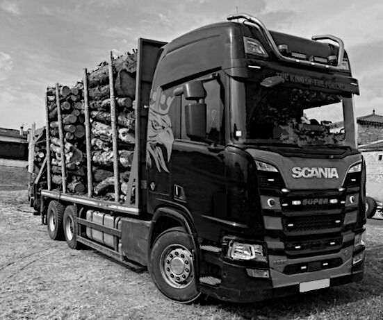 شاحنة نقل الأخشاب Scania R650 V8