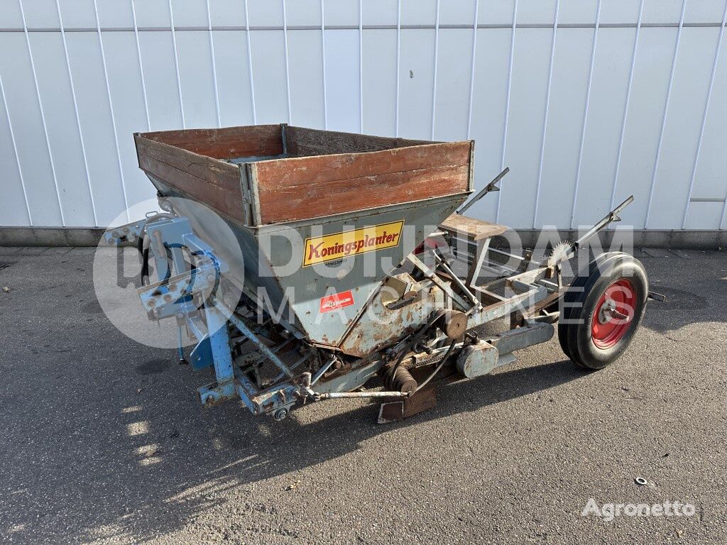 Koningsplanter transplanter