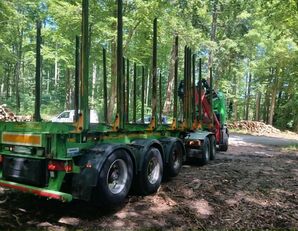 Camião tractor Scania G450 a venda + semi-reboque de transporte de madeira - Imagem 5 | Autoline PT Camião tractor Scania G450 + semi-reboque de transporte de madeira | Imagem 5 - Autoline