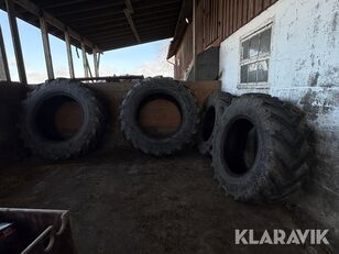 Alliance Forestry rengas